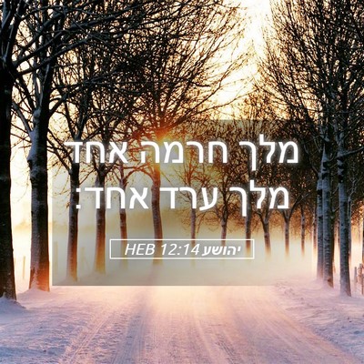 Picture 05 - יהושע 12:14 HEB - מלך חרמה אחד מלך ערד - Bible Verse Picture