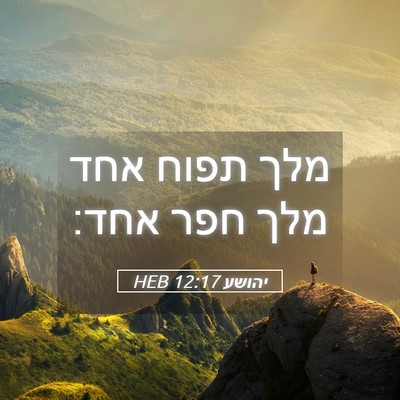 Picture 05 - יהושע 12:17 HEB - מלך תפוח אחד מלך חפר - Bible Verse Picture