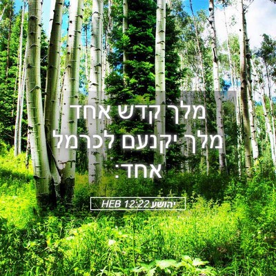 Picture 05 - יהושע 12:22 HEB - מלך קדש אחד מלך יקנעם לכרמל - Bible Verse Picture