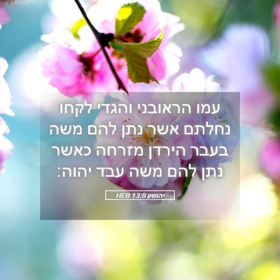 Picture 05 - יהושע 13:8 HEB - עמו הראובני והגדי לקחו - Bible Verse Picture