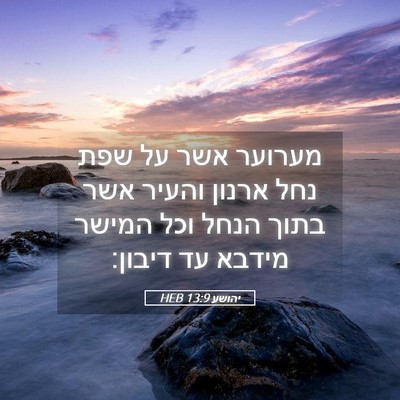 Picture 05 - יהושע 13:9 HEB - מערוער אשר על שפת נחל ארנון - Bible Verse Picture