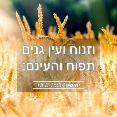 Picture 05 - יהושע 15:34 HEB - וזנוח ועין גנים תפוח - Bible Verse Picture