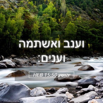 Picture 05 - יהושע 15:50 HEB - וענב ואשתמה - Bible Verse Picture
