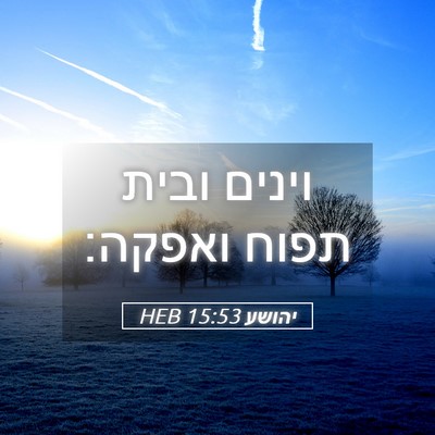Picture 05 - יהושע 15:53 HEB - וינים ובית תפוח - Bible Verse Picture