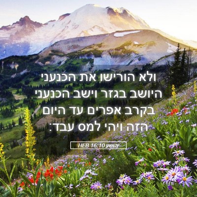 Picture 05 - יהושע 16:10 HEB - ולא הורישו את הכנעני היושב - Bible Verse Picture