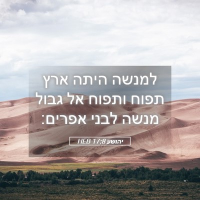 Picture 05 - יהושע 17:8 HEB - למנשה היתה ארץ תפוח ותפוח - Bible Verse Picture