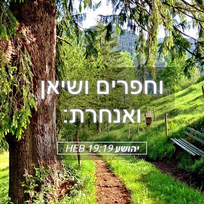 Picture 05 - יהושע 19:19 HEB - וחפרים ושיאן - Bible Verse Picture