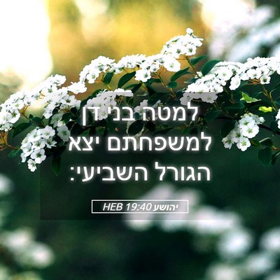 Picture 05 - יהושע 19:40 HEB - למטה בני דן למשפחתם יצא - Bible Verse Picture