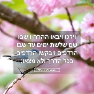 Picture 05 - יהושע 2:22 HEB - וילכו ויבאו ההרה וישבו שם - Bible Verse Picture