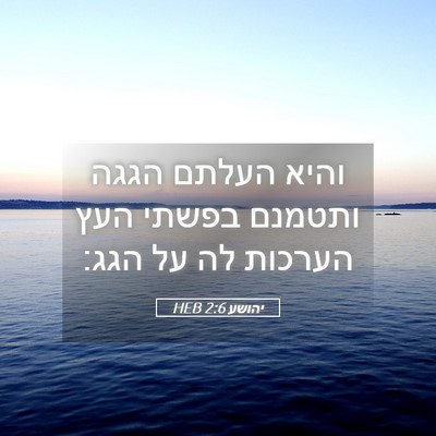 Picture 05 - יהושע 2:6 HEB - והיא העלתם הגגה ותטמנם - Bible Verse Picture