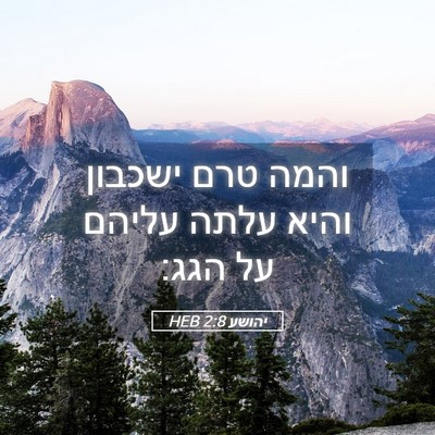 Picture 05 - יהושע 2:8 HEB - והמה טרם ישכבון והיא עלתה - Bible Verse Picture
