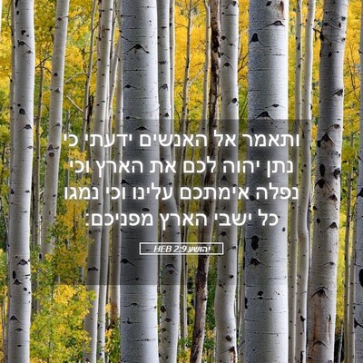 Picture 05 - יהושע 2:9 HEB - ותאמר אל האנשים ידעתי כי - Bible Verse Picture