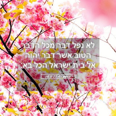 Picture 05 - יהושע 21:45 HEB - לא נפל דבר מכל הדבר הטוב - Bible Verse Picture