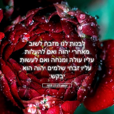Picture 05 - יהושע 22:23 HEB - לבנות לנו מזבח לשוב מאחרי - Bible Verse Picture