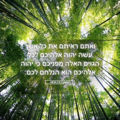 Picture 05 - יהושע 23:3 HEB - ואתם ראיתם את כל אשר עשה - Bible Verse Picture