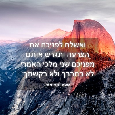 Picture 05 - יהושע 24:12 HEB - ואשלח לפניכם את הצרעה - Bible Verse Picture