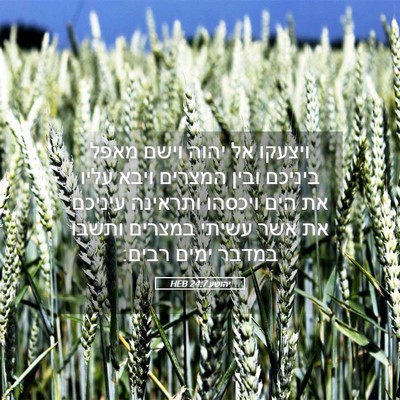Picture 05 - יהושע 24:7 HEB - ויצעקו אל יהוה וישם מאפל - Bible Verse Picture