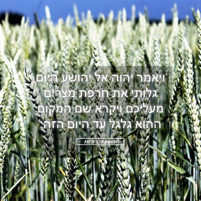 Picture 05 - יהושע 5:9 HEB - ויאמר יהוה אל יהושע היום - Bible Verse Picture