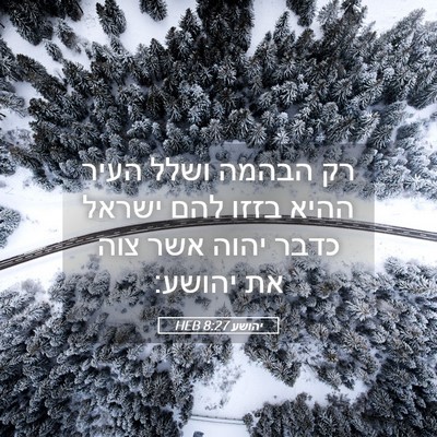 Picture 05 - יהושע 8:27 HEB - רק הבהמה ושלל העיר ההיא - Bible Verse Picture