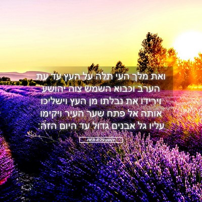 Picture 05 - יהושע 8:29 HEB - ואת מלך העי תלה על העץ עד עת - Bible Verse Picture