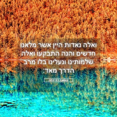 Picture 05 - יהושע 9:13 HEB - ואלה נאדות היין אשר מלאנו - Bible Verse Picture