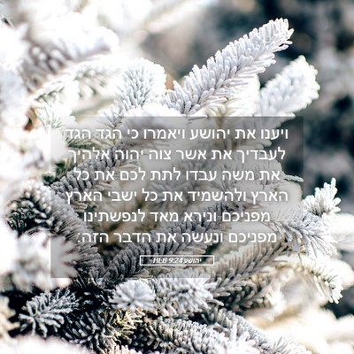 Picture 05 - יהושע 9:24 HEB - ויענו את יהושע ויאמרו כי - Bible Verse Picture