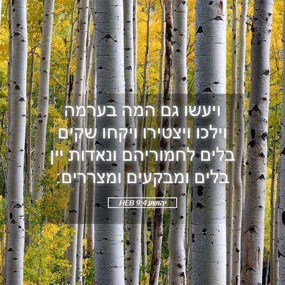 Picture 05 - יהושע 9:4 HEB - ויעשו גם המה בערמה וילכו - Bible Verse Picture