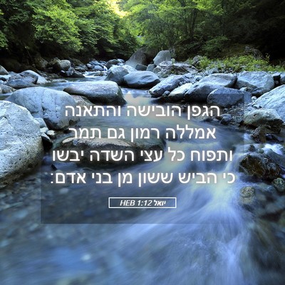 Picture 05 - יואל 1:12 HEB - הגפן הובישה והתאנה אמללה - Bible Verse Picture