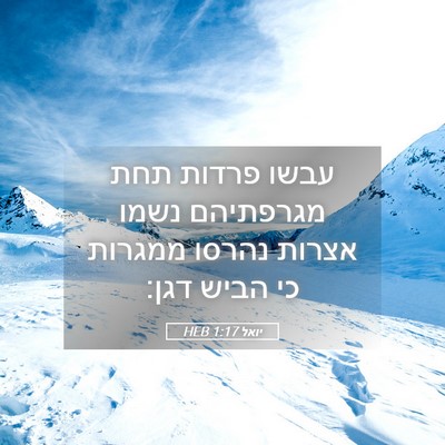 Picture 05 - יואל 1:17 HEB - עבשו פרדות תחת מגרפתיהם - Bible Verse Picture