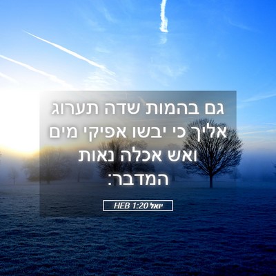Picture 05 - יואל 1:20 HEB - גם בהמות שדה תערוג אליך כי - Bible Verse Picture