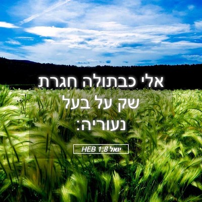 Picture 05 - יואל 1:8 HEB - אלי כבתולה חגרת שק על בעל - Bible Verse Picture