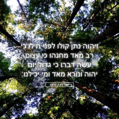 Picture 05 - יואל 2:11 HEB - ויהוה נתן קולו לפני חילו כי - Bible Verse Picture