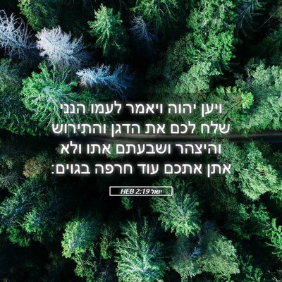 Picture 05 - יואל 2:19 HEB - ויען יהוה ויאמר לעמו הנני - Bible Verse Picture