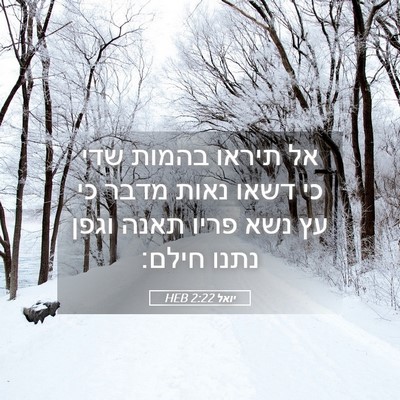 Picture 05 - יואל 2:22 HEB - אל תיראו בהמות שדי כי דשאו - Bible Verse Picture
