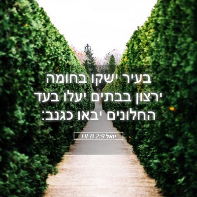 Picture 05 - יואל 2:9 HEB - בעיר ישקו בחומה ירצון - Bible Verse Picture