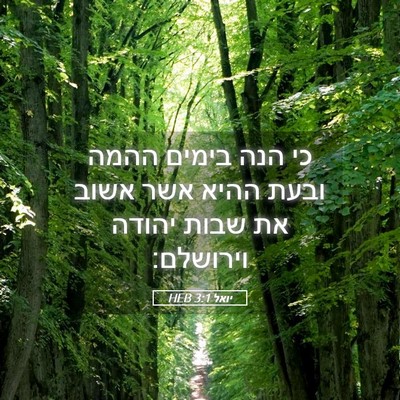 Picture 05 - יואל 3:1 HEB - כי הנה בימים ההמה ובעת ההיא - Bible Verse Picture