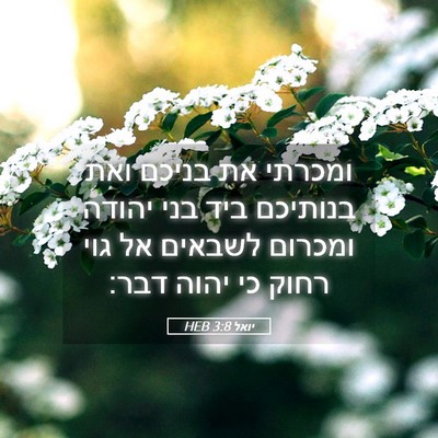 Picture 05 - יואל 3:8 HEB - ומכרתי את בניכם ואת - Bible Verse Picture