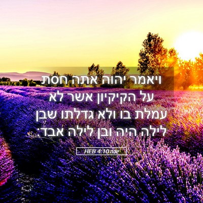 Picture 05 - יונה 4:10 HEB - ויאמר יהוה אתה חסת על - Bible Verse Picture