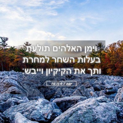 Picture 05 - יונה 4:7 HEB - וימן האלהים תולעת בעלות - Bible Verse Picture
