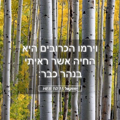 Picture 05 - יחזקאל 10:15 HEB - וירמו הכרובים היא החיה אשר - Bible Verse Picture