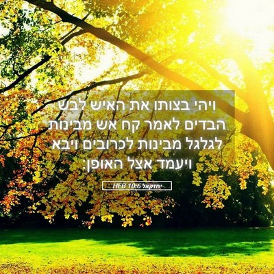 Picture 05 - יחזקאל 10:6 HEB - ויהי בצותו את האיש לבש - Bible Verse Picture