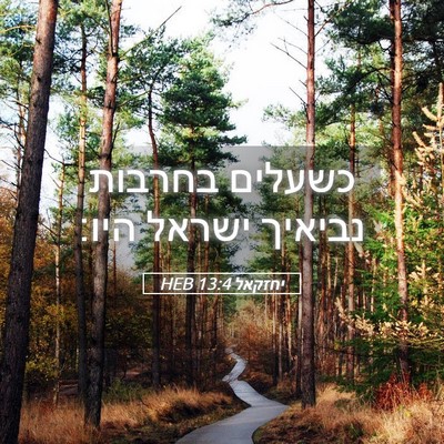 Picture 05 - יחזקאל 13:4 HEB - כשעלים בחרבות נביאיך ישראל - Bible Verse Picture