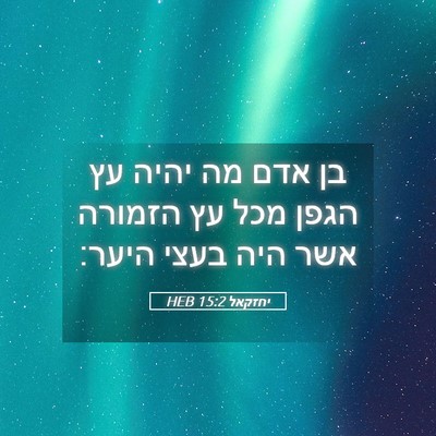 Picture 05 - יחזקאל 15:2 HEB - בן אדם מה יהיה עץ הגפן מכל - Bible Verse Picture