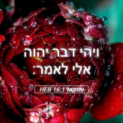 Picture 05 - יחזקאל 16:1 HEB - ויהי דבר יהוה אלי - Bible Verse Picture