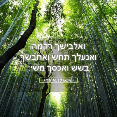 Picture 05 - יחזקאל 16:10 HEB - ואלבישך רקמה ואנעלך תחש - Bible Verse Picture