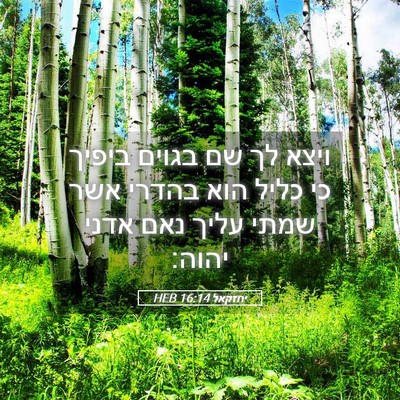Picture 05 - יחזקאל 16:14 HEB - ויצא לך שם בגוים ביפיך כי - Bible Verse Picture