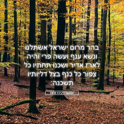 Picture 05 - יחזקאל 17:23 HEB - בהר מרום ישראל אשתלנו ונשא - Bible Verse Picture