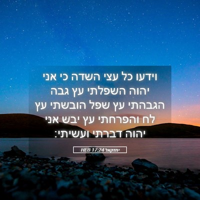 Picture 05 - יחזקאל 17:24 HEB - וידעו כל עצי השדה כי אני - Bible Verse Picture