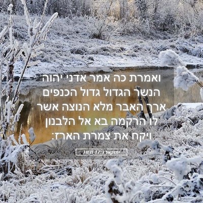 Picture 05 - יחזקאל 17:3 HEB - ואמרת כה אמר אדני יהוה הנשר - Bible Verse Picture