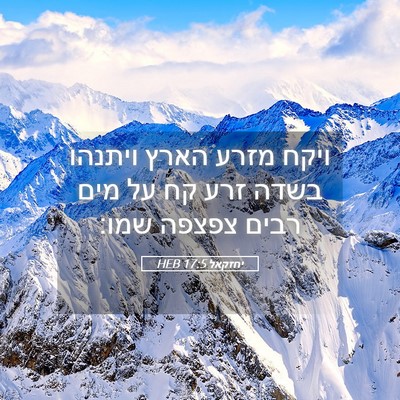 Picture 05 - יחזקאל 17:5 HEB - ויקח מזרע הארץ ויתנהו בשדה - Bible Verse Picture